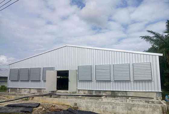 Q235B Estructura de acero Casa de aves de corral Cuadro de acero pintado Cocina de pollo