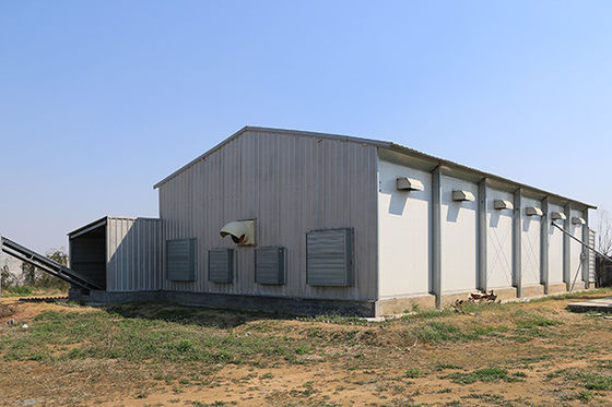 Preconstruido de acero casita de pollo Q355B tubo de cuadrangular y sección H